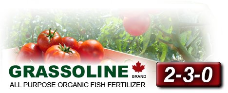 2-3-0 Organic Fish Fertilizer