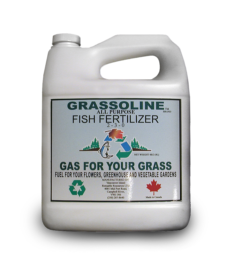 2-3-0 Organic Liquid Fish Fertilizer 4 Litre - Grassoline Brand Organic Fish  Fertilizers